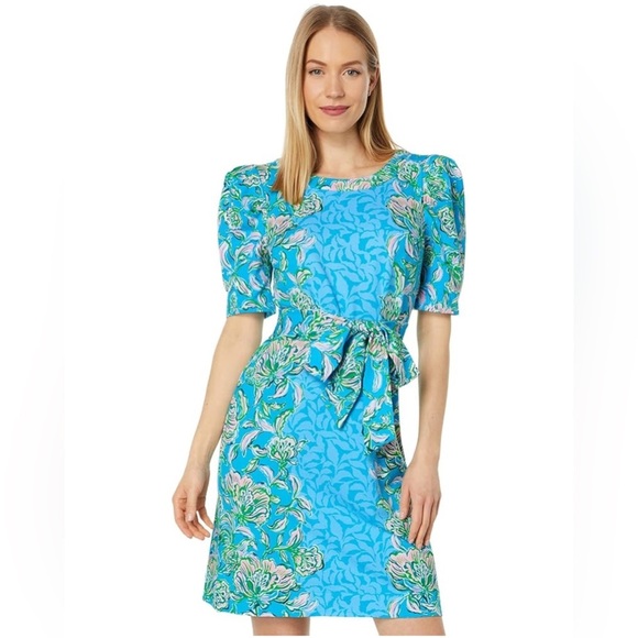 Lilly Pulitzer Harriet Dress in Color Cumulus Blue Chick Magnet Size XL - Picture 1 of 10